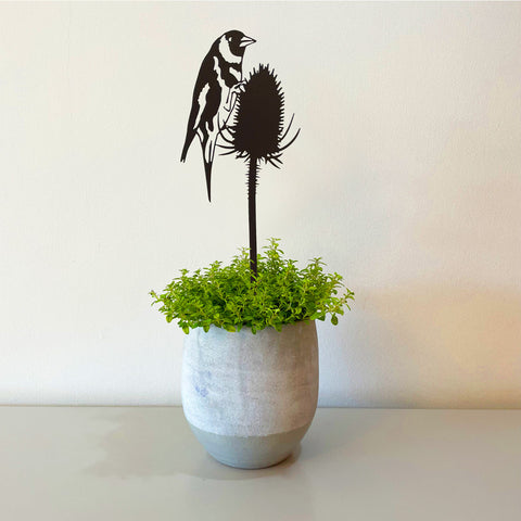 A charm of goldfinches