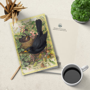 Notebook - soft cover - British Birds - Blackbird