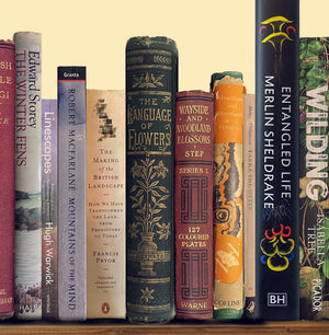 Greeting Card - Nature Book Spines