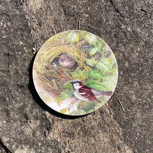 Coaster - Birds of the UK - House sparrow guarding the nest