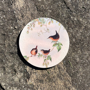 Coaster - Birds of the UK - Wrens - ready to make their own family
