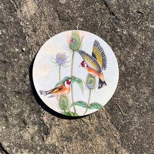 Coaster - Birds of the UK - Goldfinch - feeding on teasel