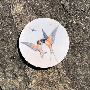 Coaster - Birds of the UK - Swallows - aerial acrobatics