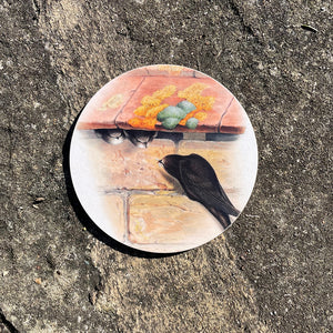 Coaster - Birds of the UK - Swifts - feeding young fledglings