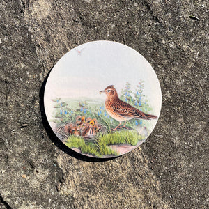 Coaster - Birds of the UK - Skylarks - hiding in plain sight