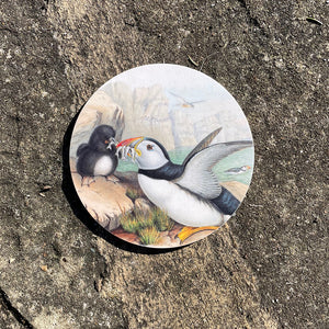 Coaster - Birds of the UK - Puffins - by the coast
