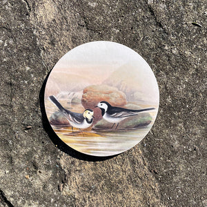 Coaster - Birds of the UK - Wagtails by the water