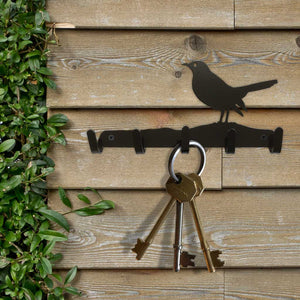 Key Hooks - A Blackbird foraging for worms