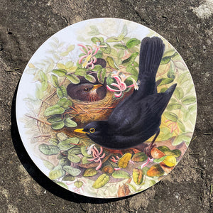 Table mat - Birds of the UK - Blackbirds - nesting