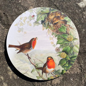 Table mat - Birds of the UK - Robin - feeding its young