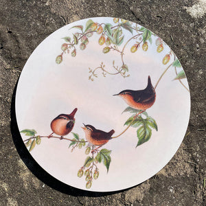 Table mat - Birds of the UK - Wrens - ready to make their own family