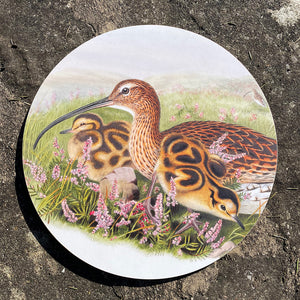 Table mat - Birds of the UK - Curlew - with young about to explore