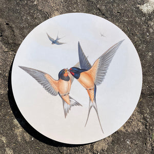 Table mat - Birds of the UK - Swallows - aerial acrobatics