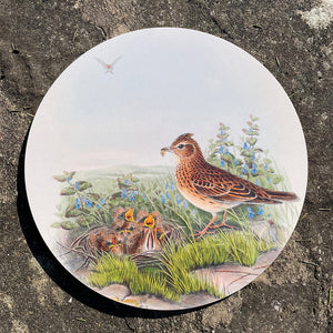 Table mat - Birds of the UK - Skylarks - hiding in plain sight