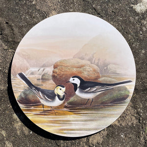 Table mat - Birds of the UK - Wagtails by the water