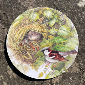 Table mat - Birds of the UK - House sparrow guarding the nest