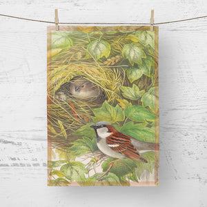 Tea towel - Birds of the UK - House sparrow guarding the nest