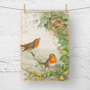 Tea towel - Birds of the UK - Robin - feeding its young