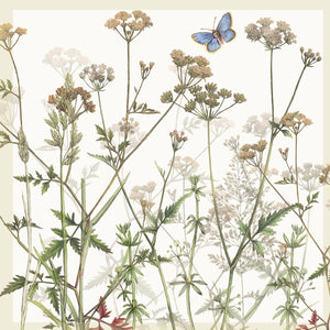 Greeting Card - Cow Parsley in the hedgerow