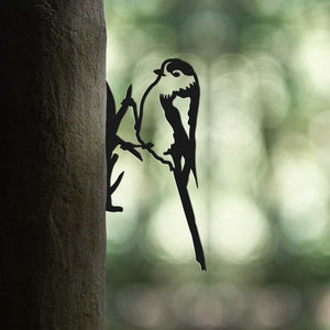 Bird - Long-tailed Tit