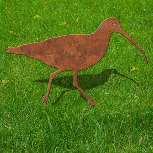 Bird - Curlew