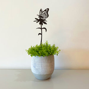 Pot Stems - Butterfly feeding on ox-eye daisy