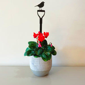 Pot Stems - Robin on a fork