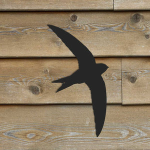 Bird - Swift