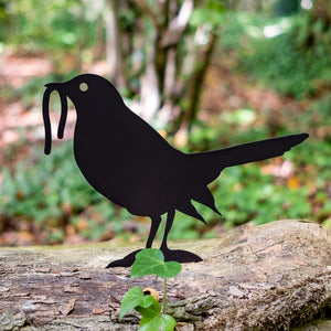 Bird - Blackbird & Worm