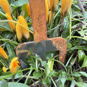 Garden Stems - Wren on a fork