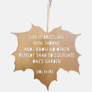 Leaf Quote - Life is bristling with thorns - Voltaire