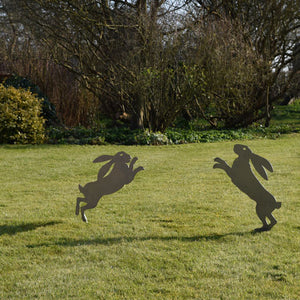 Hare Boxing - Left