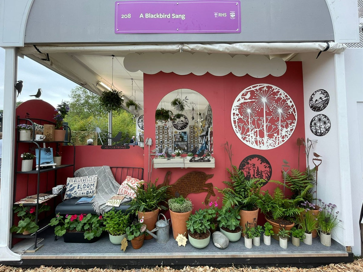 RHS Chelsea Flower Show 2023: A year of firsts… – A Blackbird Sang