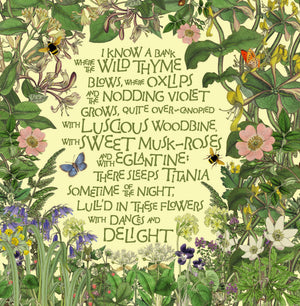 Midsummer's Day collection
