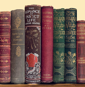 Antique book spines