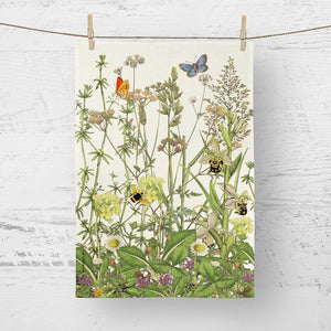 Wildflower Meadow Collection