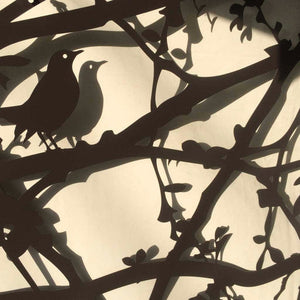 National Hedgerow Week 2026