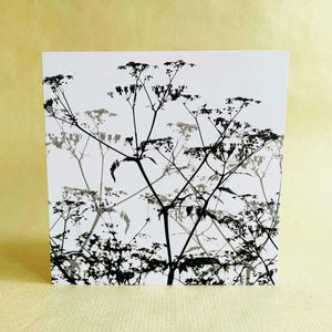 Greeting Card - Cow Parsley in the hedgerow - Set of 5 cards