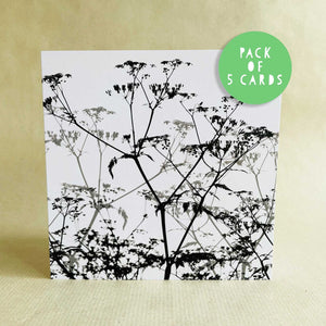 Greeting Card - Cow Parsley in the hedgerow - Set of 5 cards