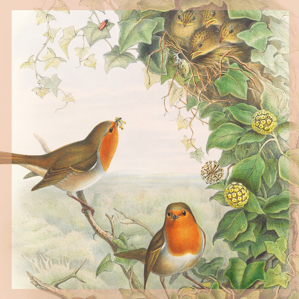 Robin Bird Target Paper Greeting Card - Robins – A Blackbird Sang