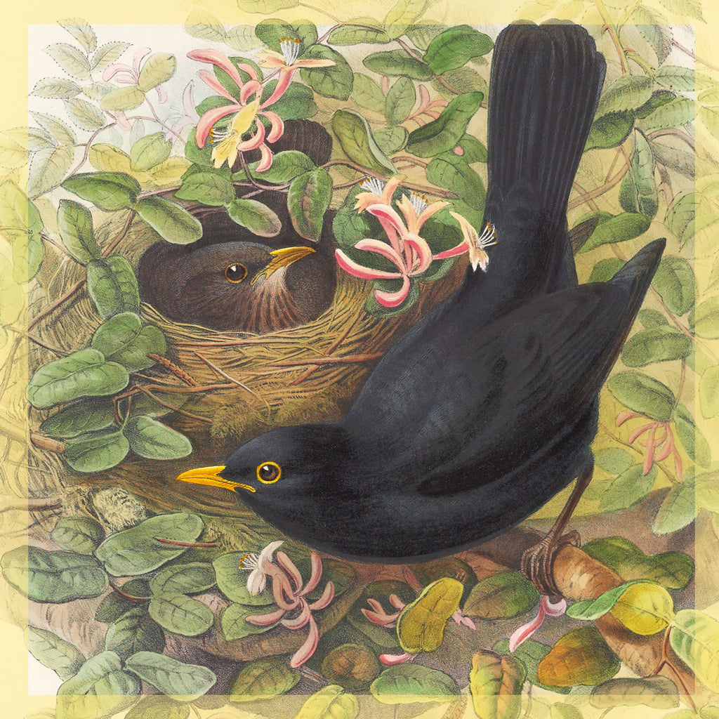 Greeting Card - Blackbirds