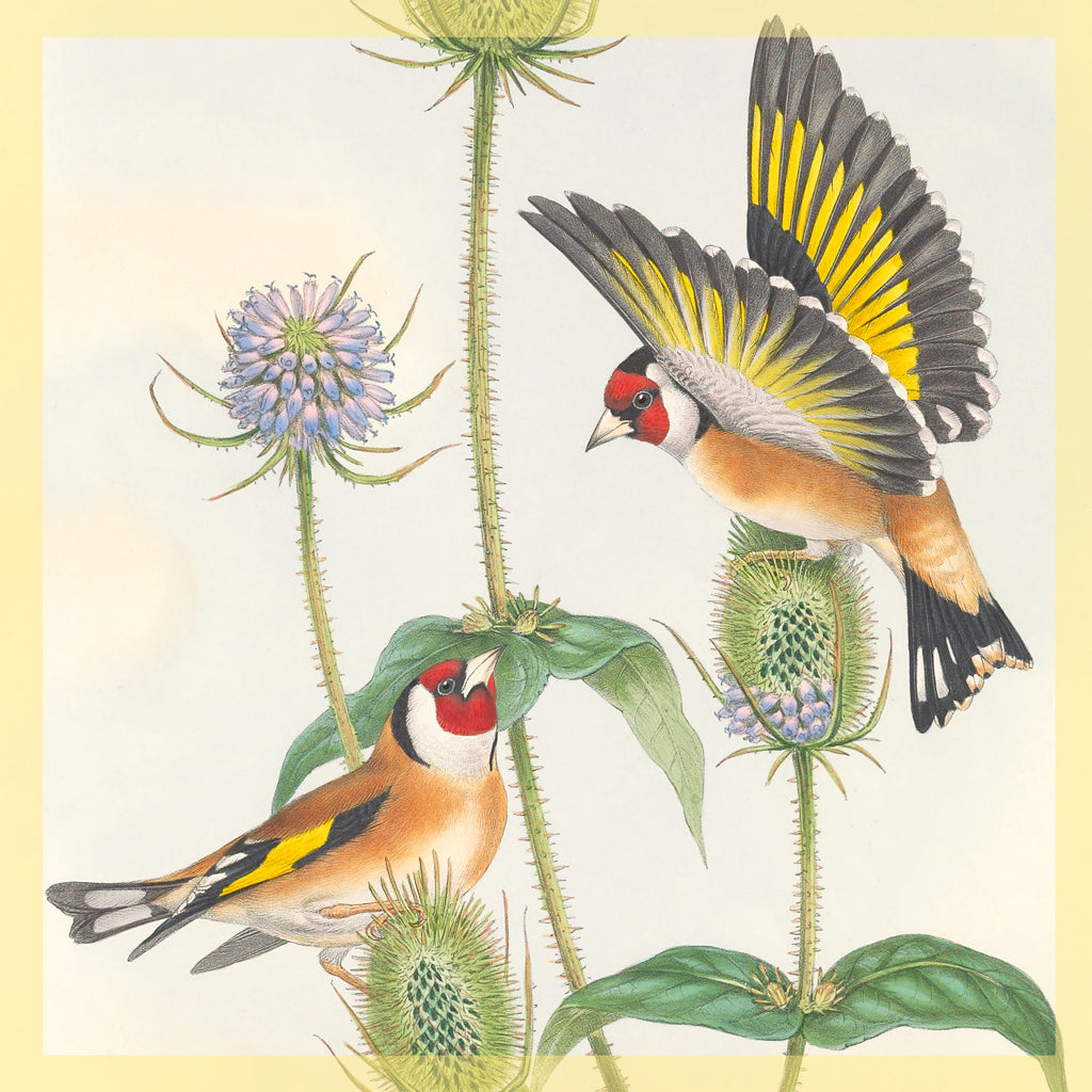 Greeting Card - Goldfinches