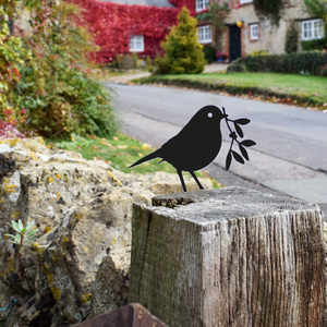 Bird - Robin with Mistletoe