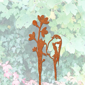Garden Stems - Wildflowers