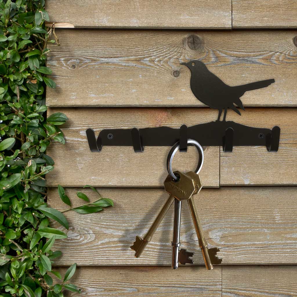 Key Hooks - A Blackbird in the hedgerow – A Blackbird Sang