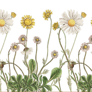 Drum Lampshade - Wild daisies