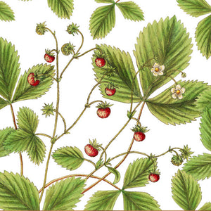 Drum Lampshade - Wild strawberries