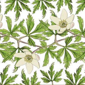 Drum Lampshade - Wood anemone