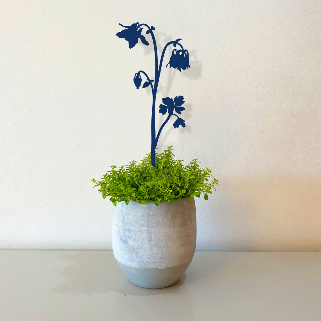 Pot Stems - Columbine or Granny's Bonnet or Aquilegia - Dark Blue