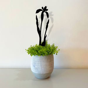 Pot Stems - Wild Iris - Dark Grey